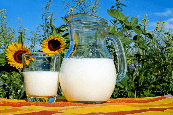 Milk is a staple of the Dukan diet